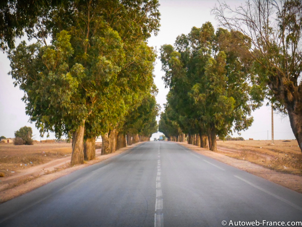 La route nationale 7 marocaine